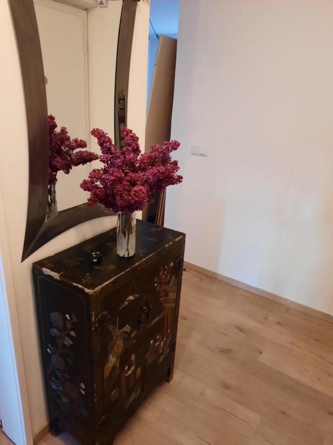 Schone Wohnung In Der Grazer Innenstadt Bagian luar foto